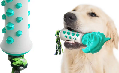 楚克奇寵物用品 多元產(chǎn)品線，滿足寵物全方位需求