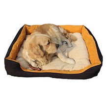 寵物專用品 從必需品到生活美學(xué)，打造愛寵的健康與快樂生活