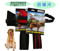 金色品質(zhì)，寵愛無價(jià) 探索高端寵物用品世界