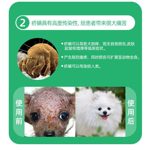 守護(hù)愛寵健康 科學(xué)選擇與使用寵物一體式驅(qū)蟲藥